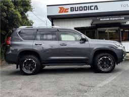 Toyota Land Cruiser Prado TX 2019 full