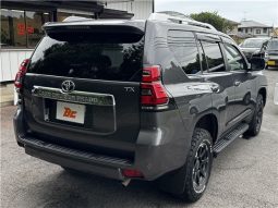 Toyota Land Cruiser Prado TX 2019 full