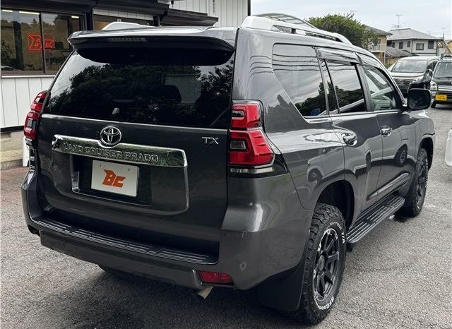 Toyota Land Cruiser Prado TX 2019 full