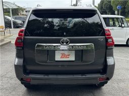 Toyota Land Cruiser Prado TX 2019 full