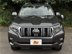 Toyota Land Cruiser Prado TX 2019 full
