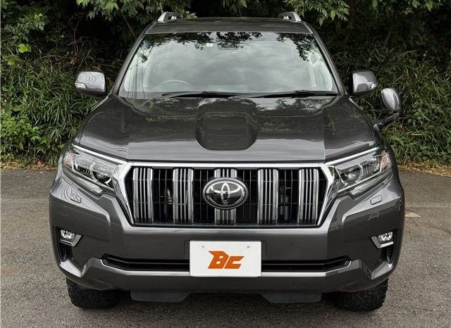 Toyota Land Cruiser Prado TX 2019 full