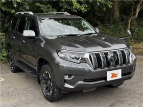 Toyota Land Cruiser Prado TX 2019