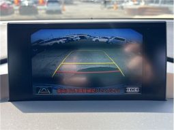 Lexus NX NX300HF Sports 2016 full