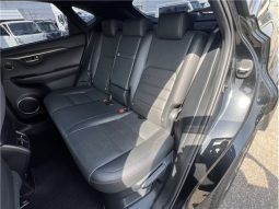 Lexus NX NX300HF Sports 2016 full