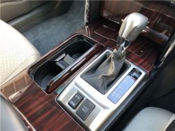 Toyota Mark X 250G Relax Selection 2010 full