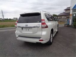 Toyota Land Cruiser Prado TZ-G Turbo 2015 full