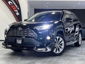 Toyota Rav4 2.0 GZ Package 2019
