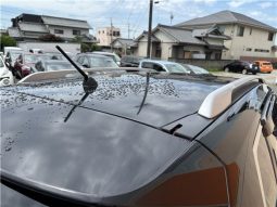 Nissan X-Trail 2.0 20X 2015 full