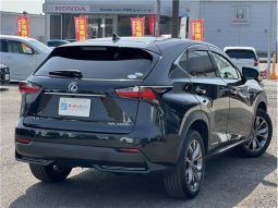 Lexus NX NX300HF Sports 2016 full