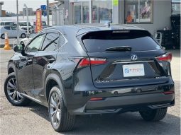 Lexus NX NX300HF Sports 2016 full