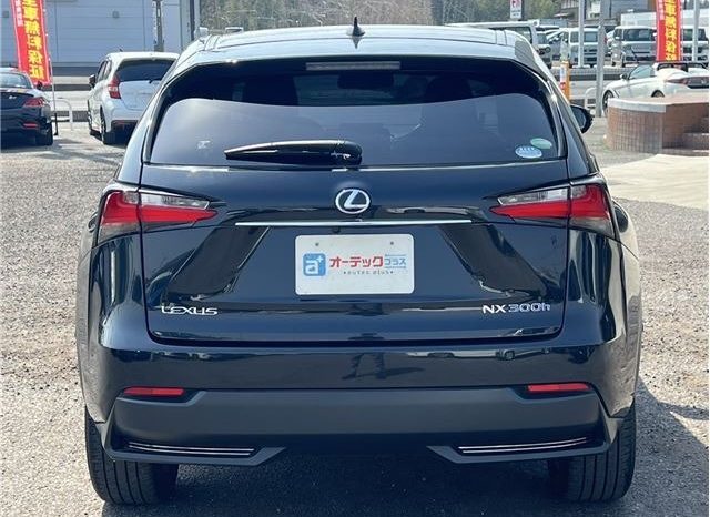Lexus NX NX300HF Sports 2016 full
