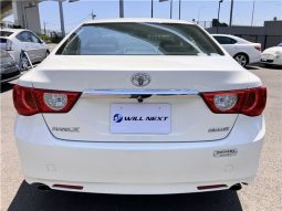 Toyota Mark X 250G Relax Selection 2010 full