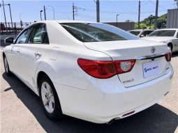 Toyota Mark X 250G Relax Selection 2010 full