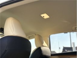 Lexus NX NX200t Version L 2016 full