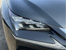 Lexus NX NX300HF Sports 2016 full