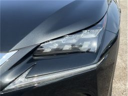 Lexus NX NX300HF Sports 2016 full