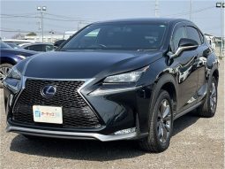 Lexus NX NX300HF Sports 2016 full