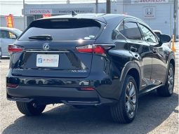 Lexus NX NX300HF Sports 2016 full