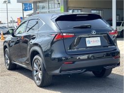 Lexus NX NX300HF Sports 2016 full
