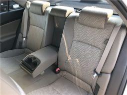 Toyota Mark X 250G Relax Selection 2010 full