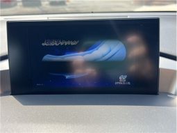 Lexus NX NX300HF Sports 2016 full