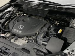 Mazda CX-5 XD Proactive 2017 full