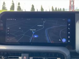 Toyota Land Cruiser 250 VX First Edition 2024 full