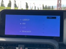 Toyota Land Cruiser 250 VX First Edition 2024 full