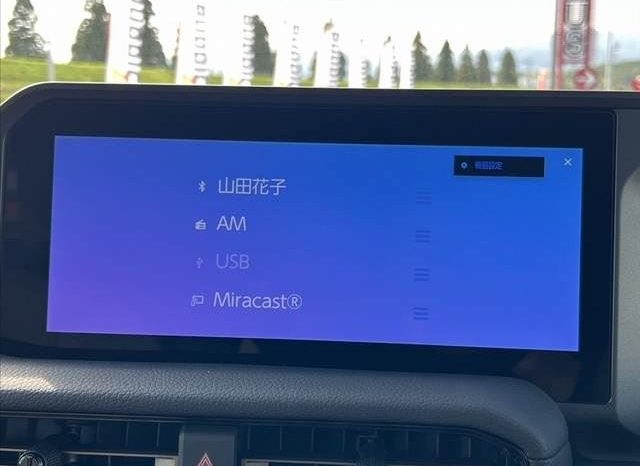 Toyota Land Cruiser 250 VX First Edition 2024 full