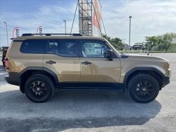 Toyota Land Cruiser 250 VX First Edition 2024 full