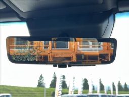 Toyota Land Cruiser 250 VX First Edition 2024 full