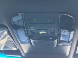 Toyota Land Cruiser 250 VX First Edition 2024 full