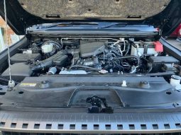 Toyota Land Cruiser 250 VX First Edition 2024 full