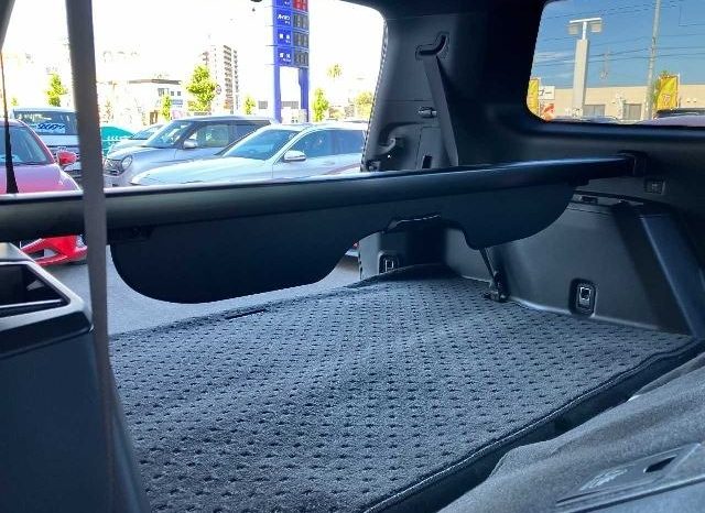 Toyota Land Cruiser 250 VX First Edition 2024 full