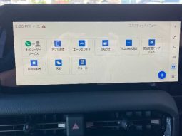 Toyota Land Cruiser 250 VX First Edition 2024 full