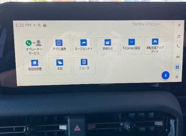 Toyota Land Cruiser 250 VX First Edition 2024 full