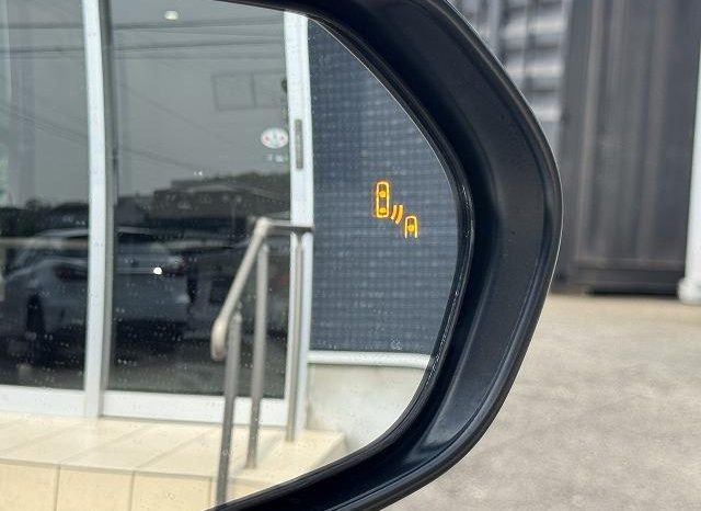 Toyota C-HR G 2019 full