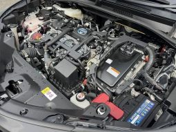 Toyota C-HR G 2019 full