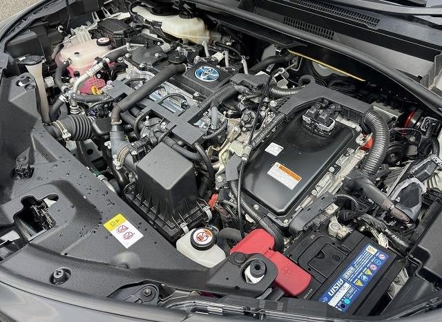 Toyota C-HR G 2019 full