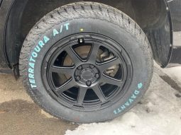 Toyota Vanguard 240S 2009 full