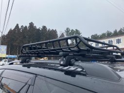 Toyota Vanguard 240S 2009 full