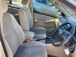 Toyota Corolla Runx X Limited 2002 full