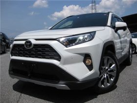 Toyota RAV4 G-Z Package 2019