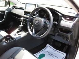 Toyota RAV4 G-Z Package 2019 full