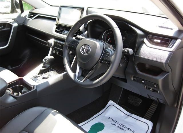 Toyota RAV4 G-Z Package 2019 full