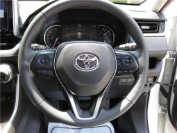 Toyota RAV4 G-Z Package 2019 full