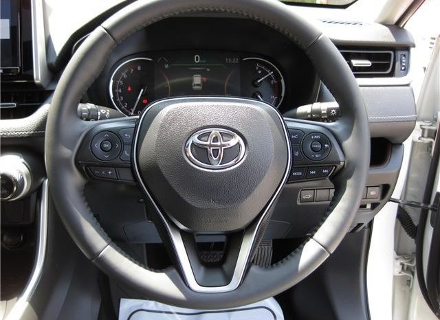 Toyota RAV4 G-Z Package 2019 full