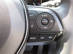 Toyota RAV4 G-Z Package 2019 full