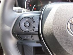 Toyota RAV4 G-Z Package 2019 full